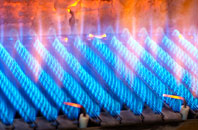 Powderham gas fired boilers